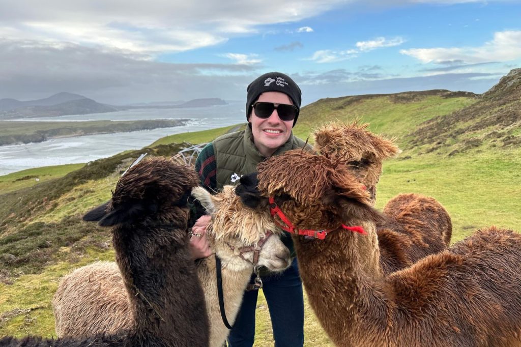A person in sunglasses and a hat smiles while surrounded by four alpacas on a grassy hillside, with the ocean and distant hills visible under a partly cloudy sky.
