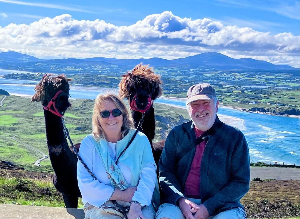Wild Alpaca Way