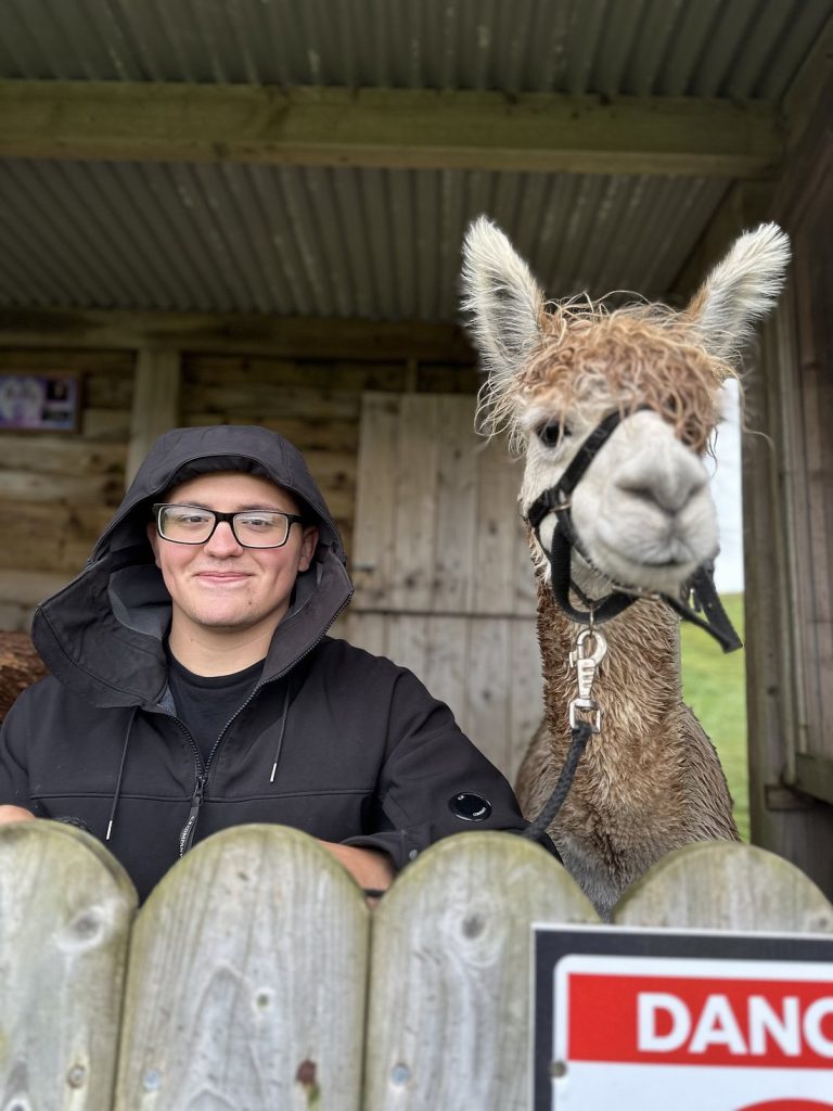 Wild Alpaca Way