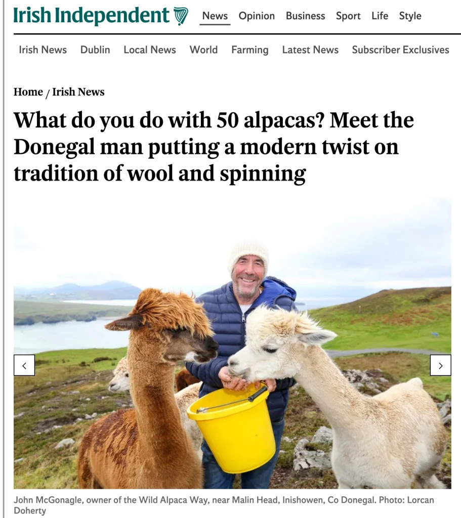 A smiling man in a blue jacket and white hat holds a yellow bucket, surrounded by three alpacas, against a scenic backdrop of hills, water, and cloudy sky in Donegal, Ireland.